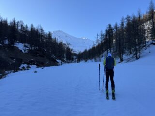Salendo al mattino 