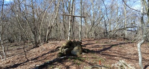 Bric Agrifoglio (m.1150)