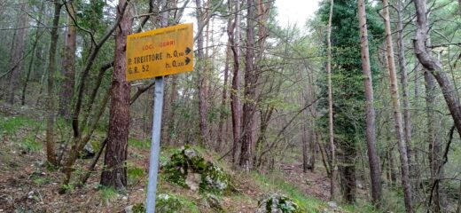 Bivio per il Passo Treiettore 
