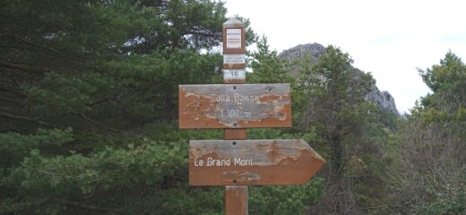 Colla Bassa 