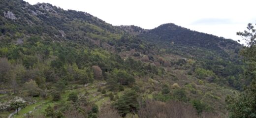Lungo il Gr52 con davanti il Roc de l' Ormea e la Cima Longoira 