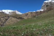 Vallone di salita a dx