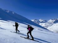 Velluto oltre colla Bauzano