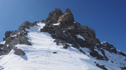 dal colletto