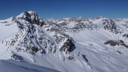 Marchisa