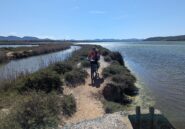 Lungo gli stagni dopo Porto Pino