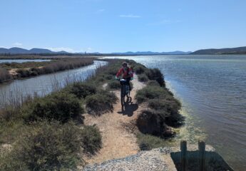 Lungo gli stagni dopo Porto Pino