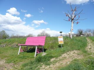 Avanti con le panche giganti...  