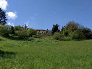 Prati e orti a Mezzalfenga.