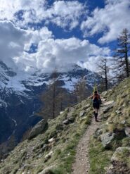 comincia la salita verso il domhutte