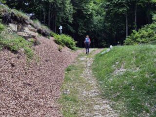 bocchetta di foglia