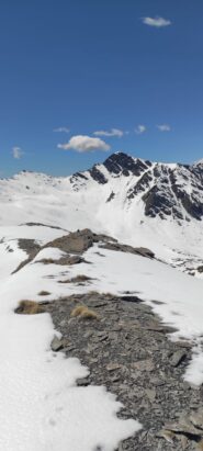 Pezzo di cresta