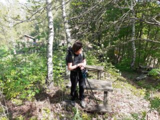 Deviazione Punta Veis.