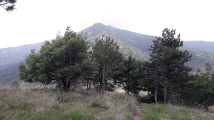 la cresta vista dal M.Calvo..