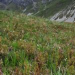 il Bec Matlas dal sentiero di discesa