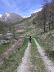 Scendiamo sulla sinistra orografica.