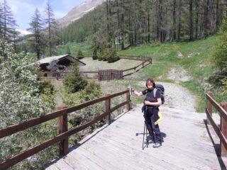 Chiusura dell'anello.