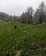 sul costone 