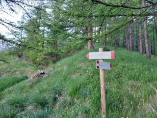 Alla palina con cartelli seguire a sinistra, sul versante Sud!