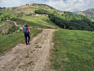 colle del ranghetto