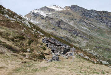 L’Alpe La Terra e la Cima di Bonze arrivati a Li Piani, appena prima del colle di Pian Spergiurati
