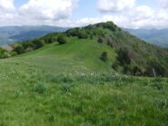 Verso il Monte della Cavalla 