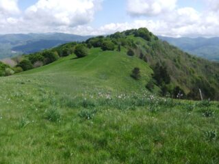 Verso il Monte della Cavalla 