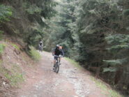 sotto la pioggia....nella zona del bosco delle Fate