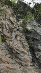 il bel 6C di Donna Volante 