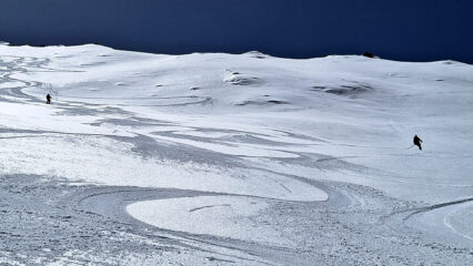Qualità neve