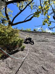 L'inizio del terzo tiro