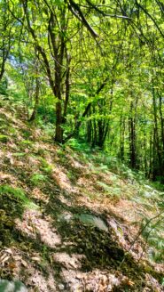 oplus_32