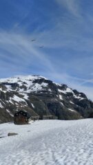 Rifugio Bezzi con due gipeti