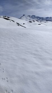 la cima con il bel pendio sud Ovest 