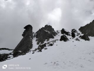 oplus_2