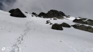 oplus_2