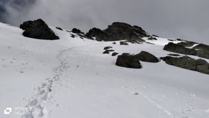 oplus_2