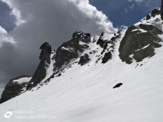 oplus_2