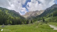 oplus_2