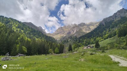 oplus_2