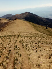devo imparare a scendere in parapendio