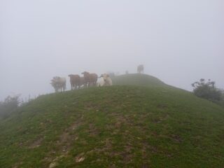 Monte Ceresa (m.913)