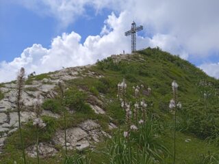 Pizzo d' Evigno (m.989)