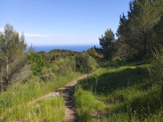 Verso San Bartolomeo 