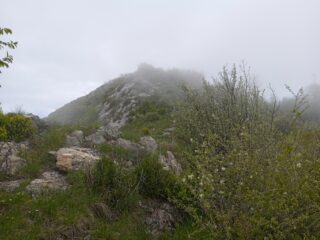 Salita al Bric della Penna 