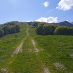 La stupenda dorsale 