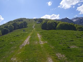 La stupenda dorsale 