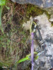 condizioni fix e soste