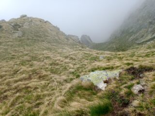 Canale nelle nebbie...