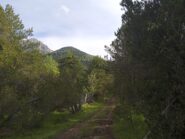 La piccola sterrata che sale da Celle 